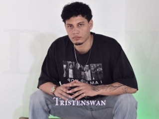 Tristenswan