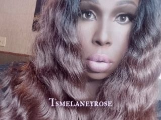 Tsmelaneyrose