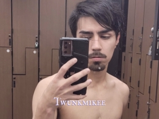 Twunkmikee