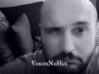 VoicesNoHue