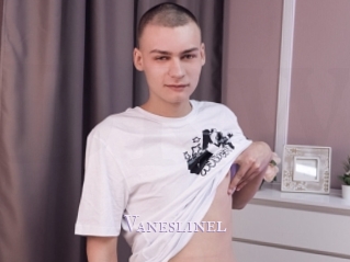 Vaneslinel