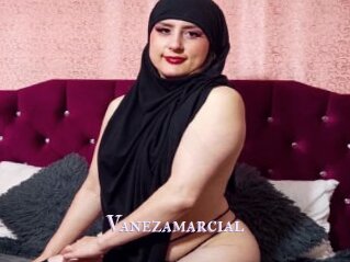 Vanezamarcial
