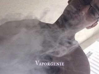 Vapor_genie