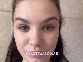 Vernitaasnicar