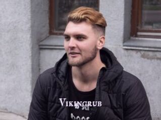 Vikingrub