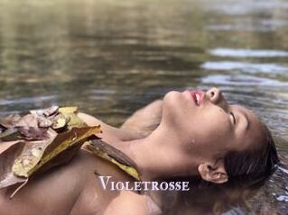 Violetrosse