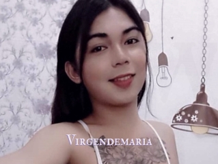 Virgendemaria