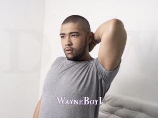 WayneBoyI