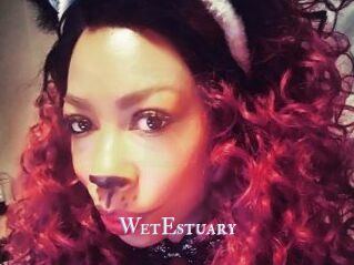 WetEstuary