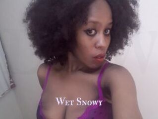 Wet_Snowy