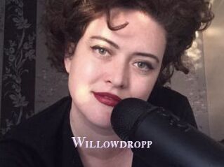 Willowdropp