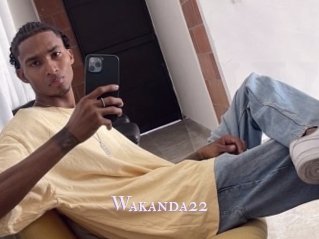 Wakanda22