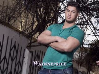 Waynneprice