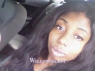 Willow_secret