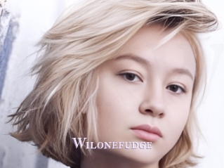 Wilonefudge