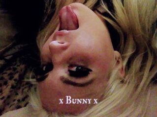 _x_Bunny_x_