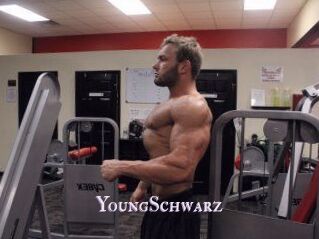 YoungSchwarz