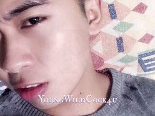 YoungWildCock4u