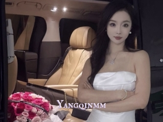 Yangqinmm