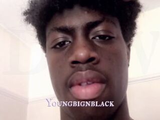Youngbignblack