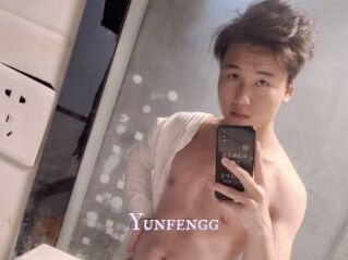 Yunfengg