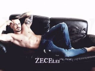 ZECElei