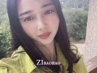 ZIbaobao