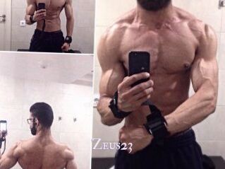Zeus23