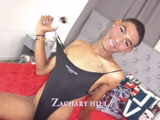 Zachary_hill
